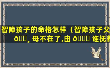 智障孩子的命格怎样（智障孩子父 🕸 母不在了,由 🐕 谁抚养）
